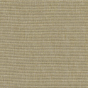 Bonanza Blackout Chickpea